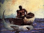 Shark Winslow Homer